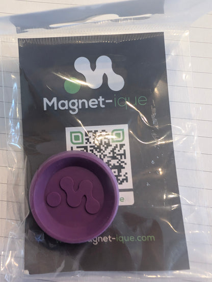 Magnet-ique fly holders